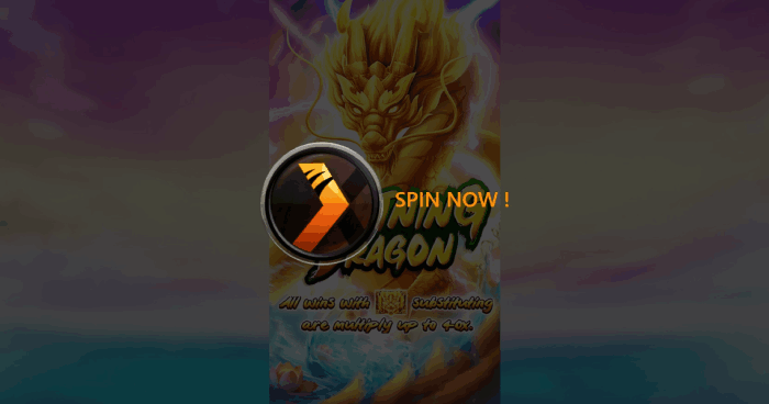 Lighting Dragon Nextspin
